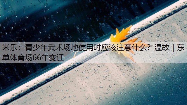 米乐：青少年武术场地使用时应该注意什么？温故｜东单体育场66年变迁