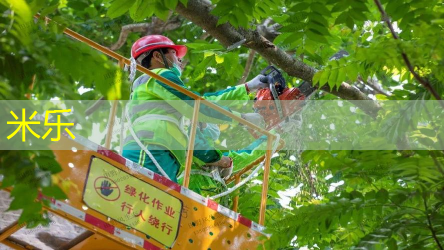 米乐m6官网登录入口：男孩子的网球拍怎么选择