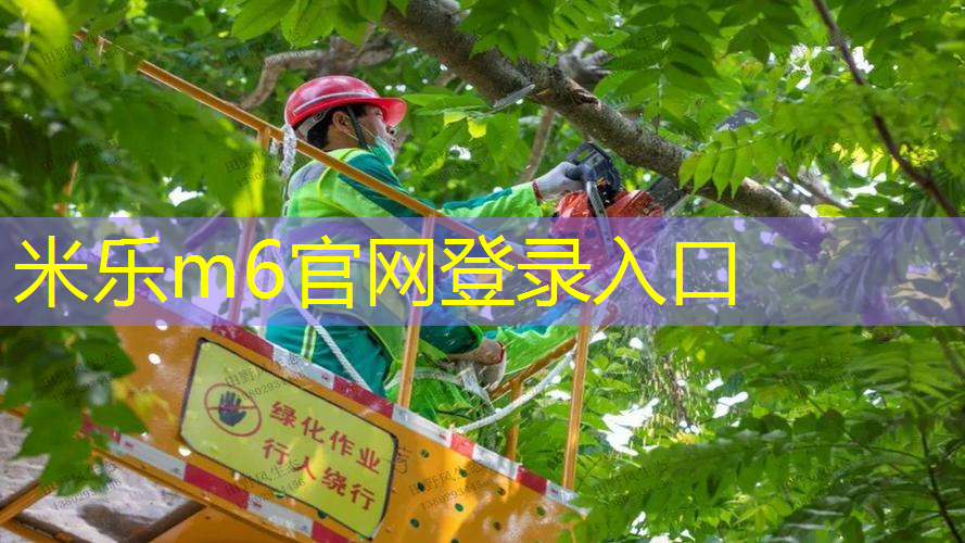 米乐：172用几号柄的网球拍