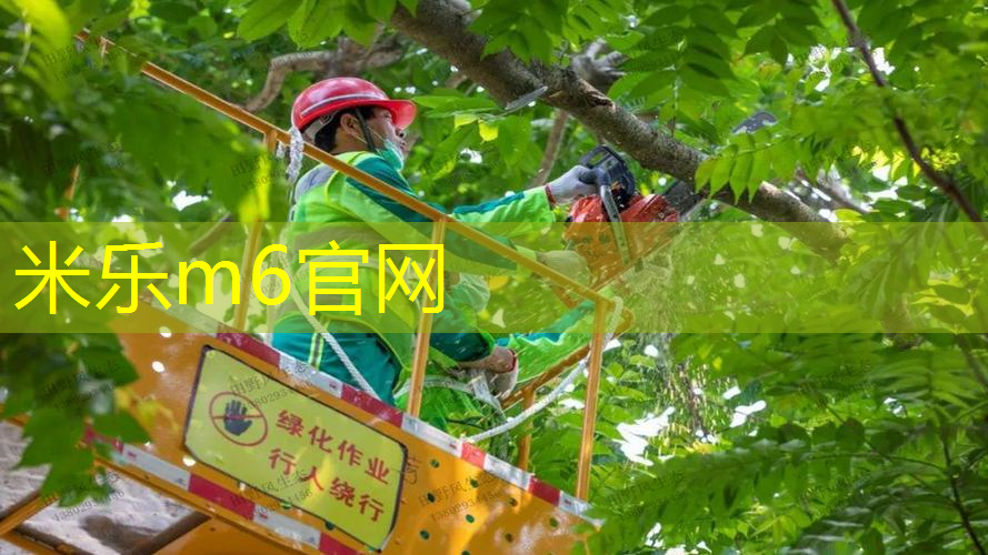 米乐m6官网登录入口：怎样选健身网球拍子呢