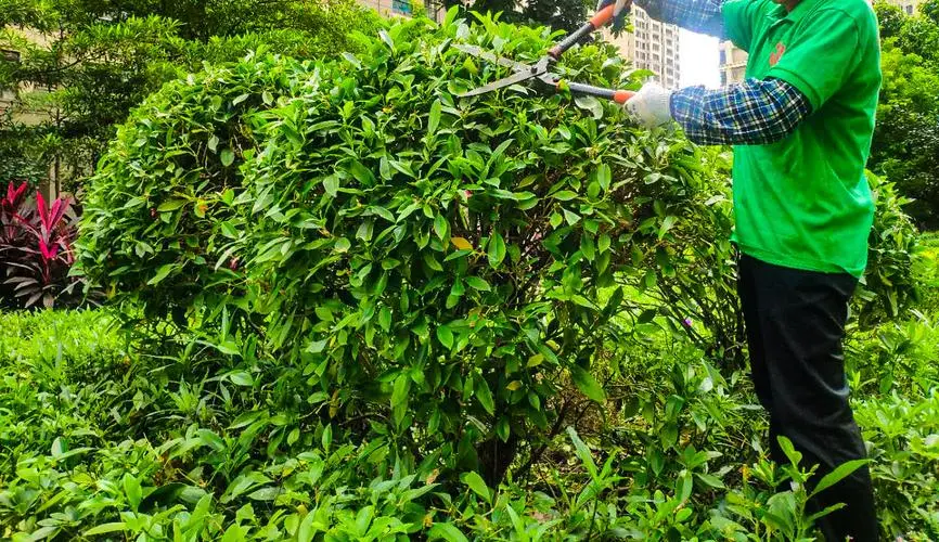 mile米乐m6官网：黄龙体育中心租网球拍