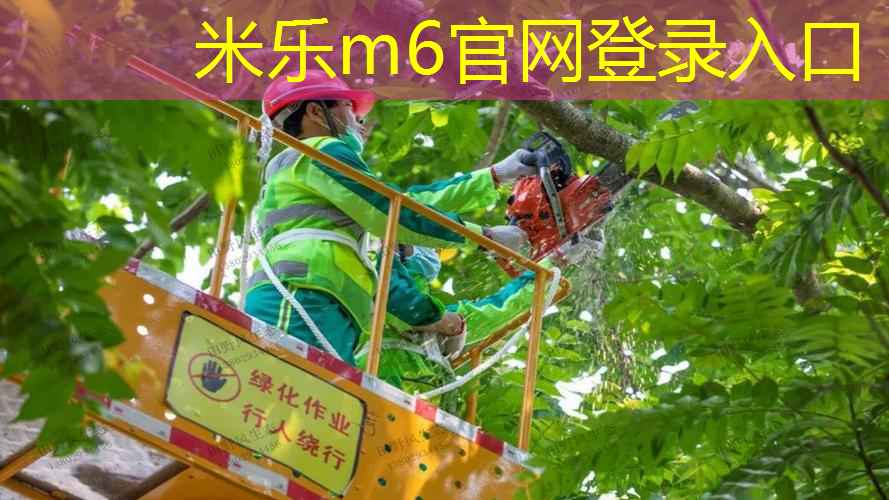 mile·米乐m6：塑料奔驰般自由！彩色胶跑道点亮城市魅力