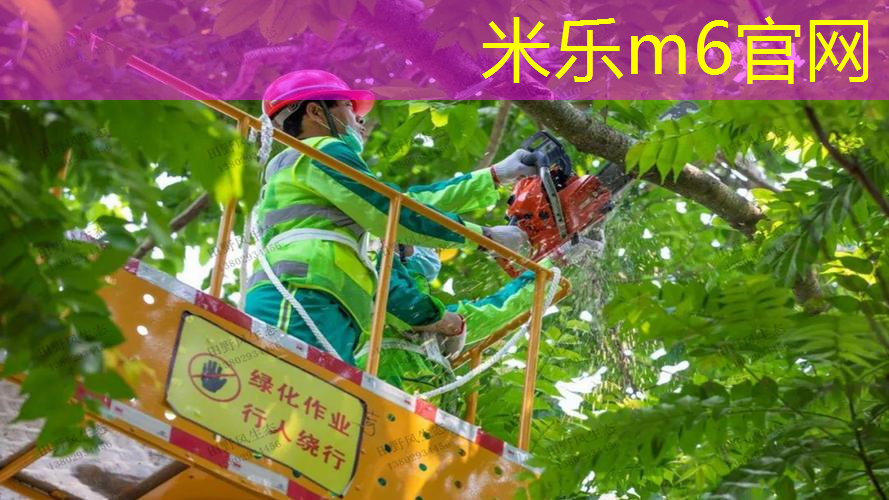 找到闪亮亮星路！塑胶跑道材料样品展示架解读最佳使用方法！
