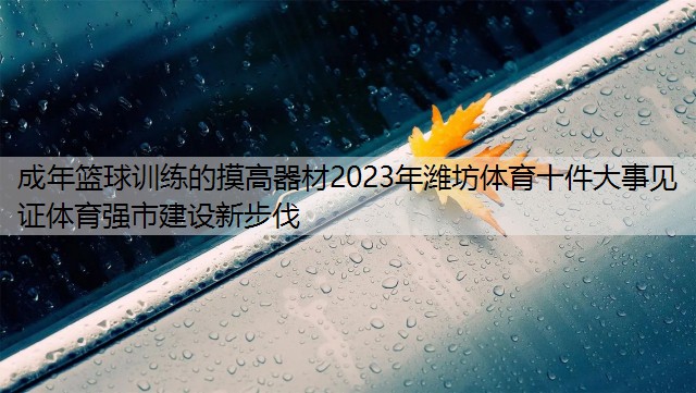 成年篮球训练的摸高器材2023年潍坊体育十件大事见证体育强市建设新步伐