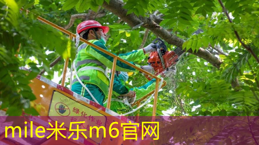 男孩子的网球拍怎么选择