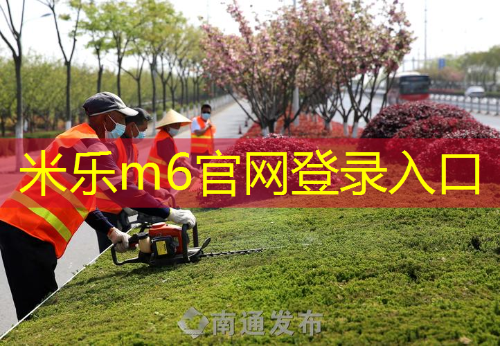 网球拍哪种好一点耐打