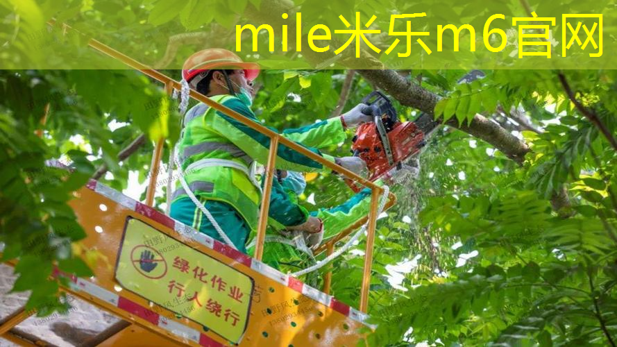 找到闪亮亮星路！塑胶跑道材料样品展示架解读最佳使用方法！