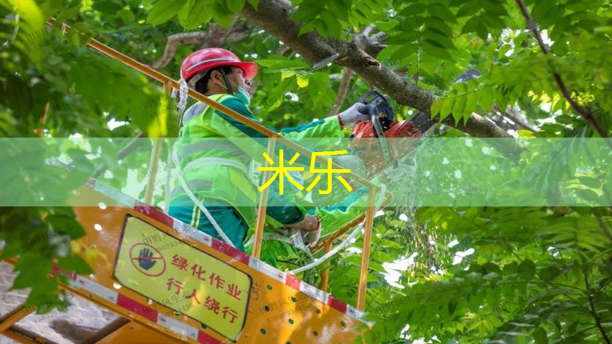 探索室外健身器材的魅力，释放健康能量！