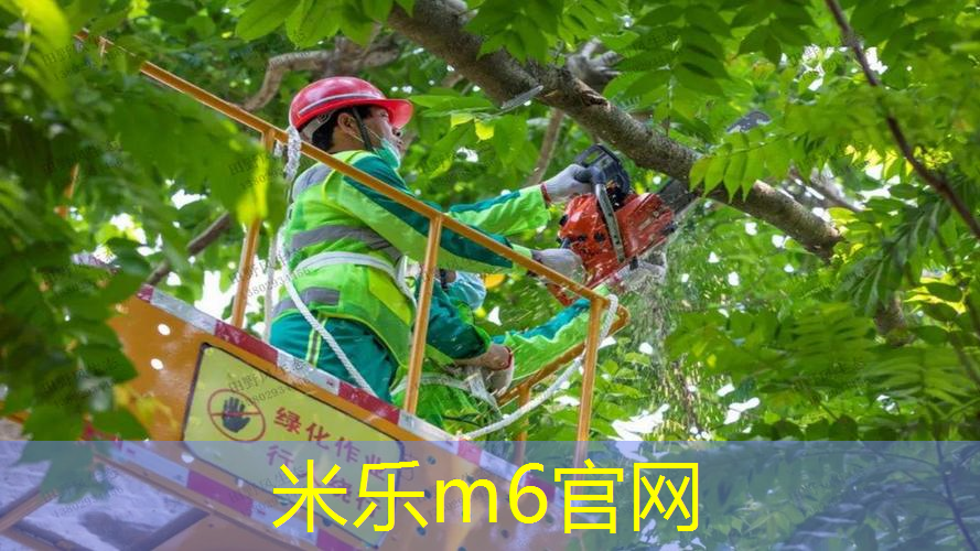 儿童室内健身棒有用吗