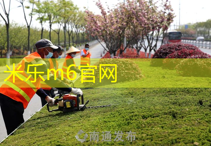 全家欢乐互动时间！蜜蜂儿童滑梯助力亲子关系升温